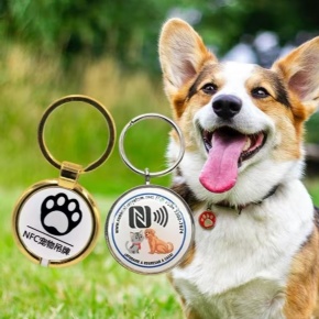 UHF RFID Epoxy Pet Tag